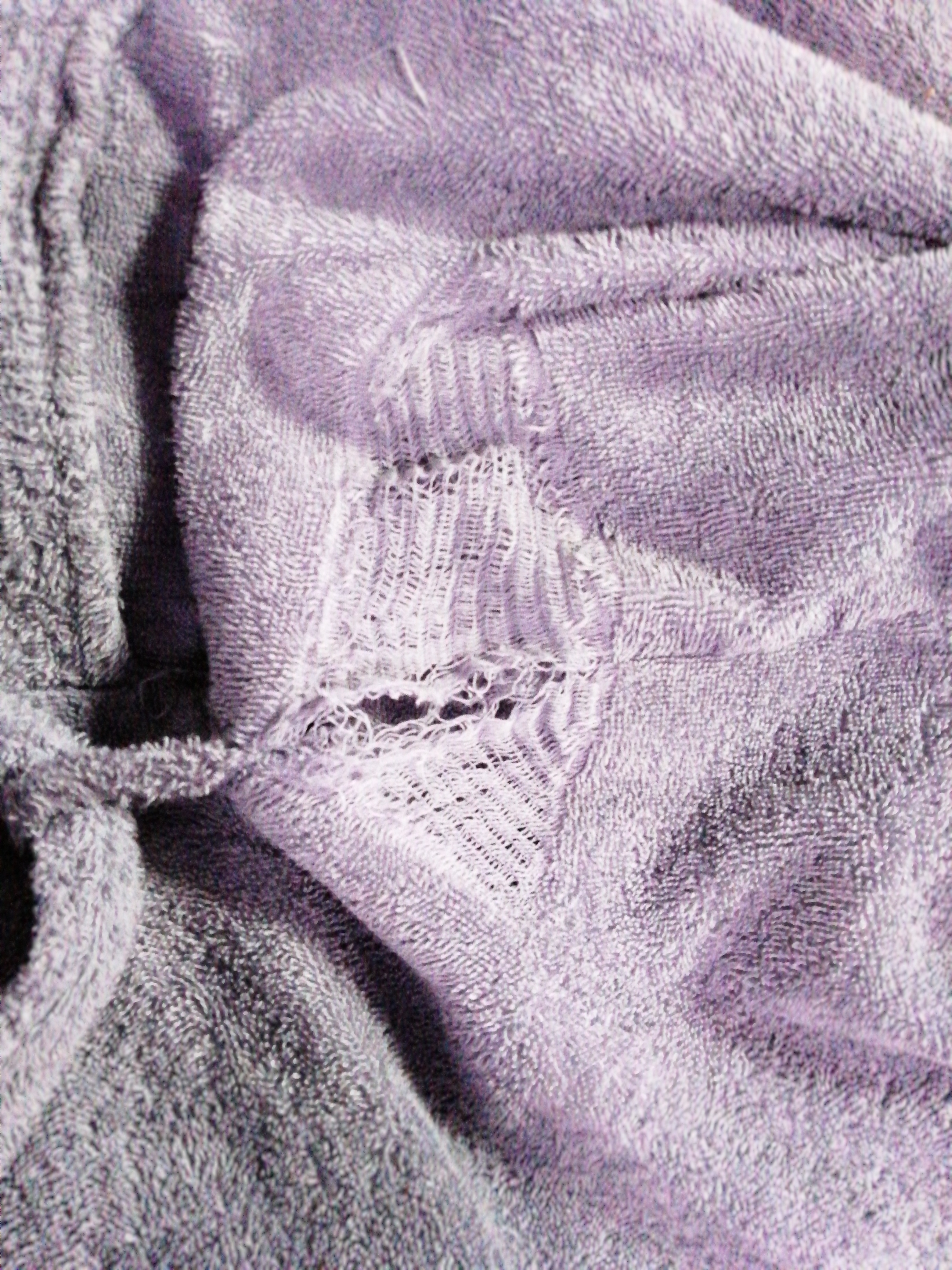 Ein Kuscheltraum